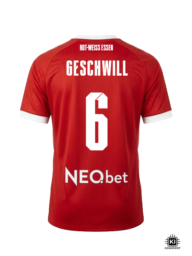 6 - Geschwill
