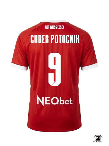 9 - Cuber Potocnik